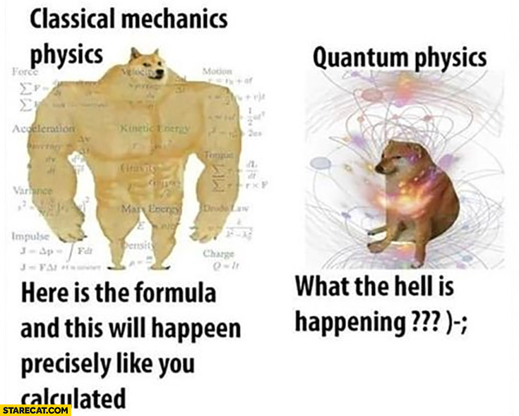 Classic mechanics physics vs quantum physics doge comparison