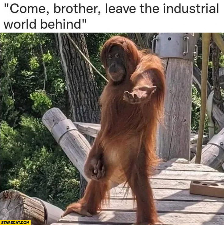 Come brother leave the industrial world behind monkey gorilla chimpanzee