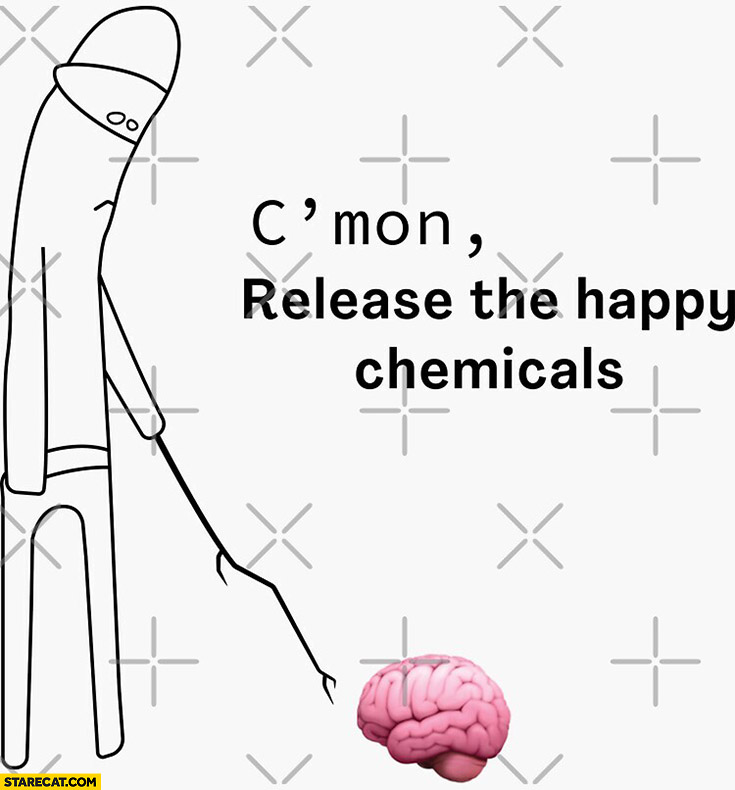 Come on c’mon release the happy chemicals brain