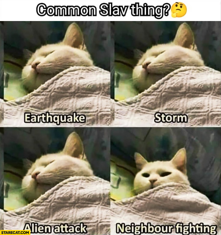 Common Slav thing cat sleeping during earthquake, storm, alien attack, wakes up when neighbours are fighting