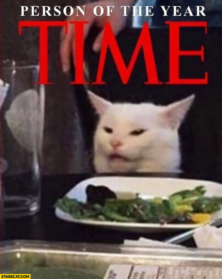 Confused cat meme Time person of the year