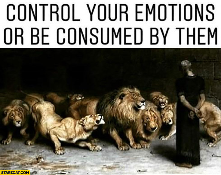 Control your emotions or be cosumed by them animals lions