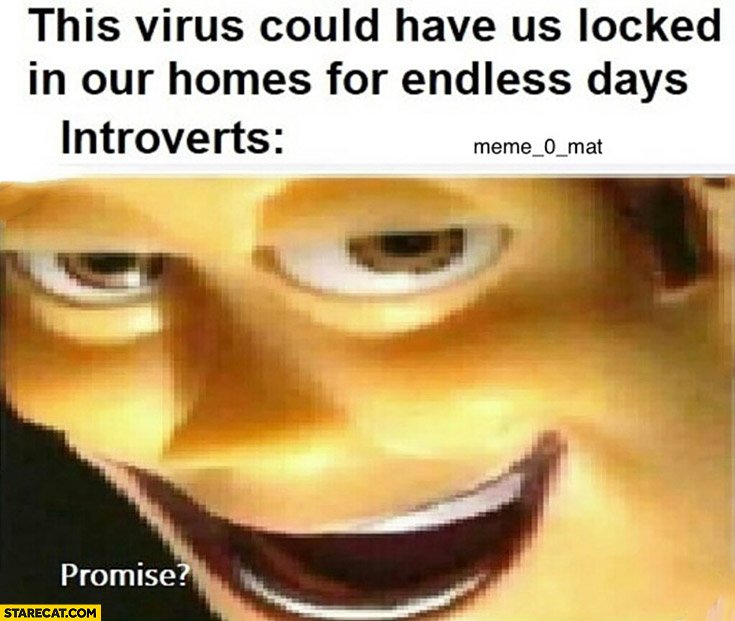Image result for introverts quarantine meme