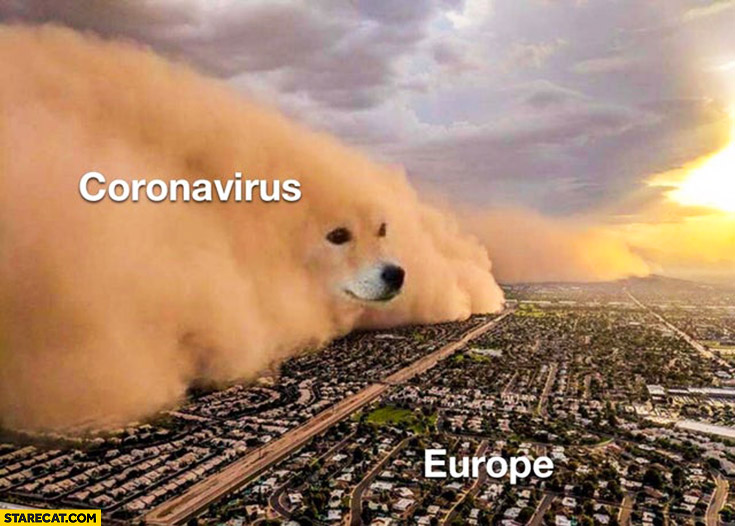 Coronavirus flooding Europe sand storm dog doge
