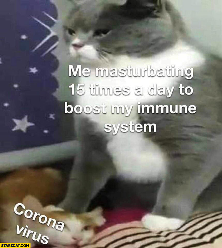 Coronavirus vs me masturbating 15 times a day to boost my immune system cats