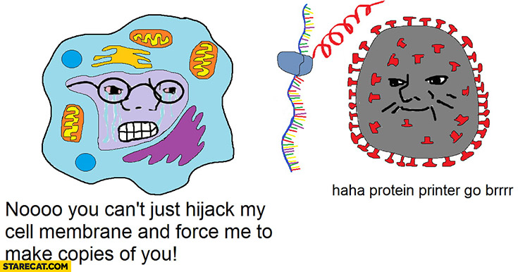 Coronavirus you can’t just hijack my cell membrane and force me to make copies of you, protein printer go brr