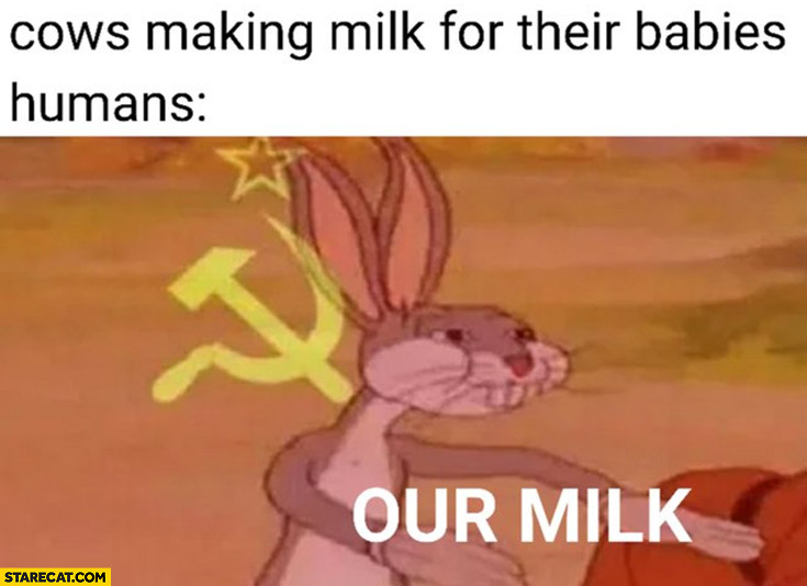 ows making milk for their babies humans communism our milk