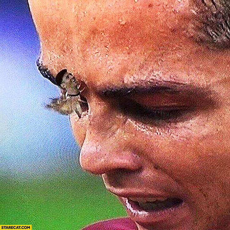 Cristiano Ronaldo Messi moth Euro finals match