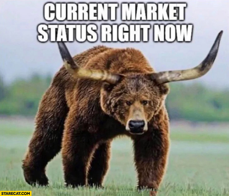 Current market status right now bear with bull’s horns