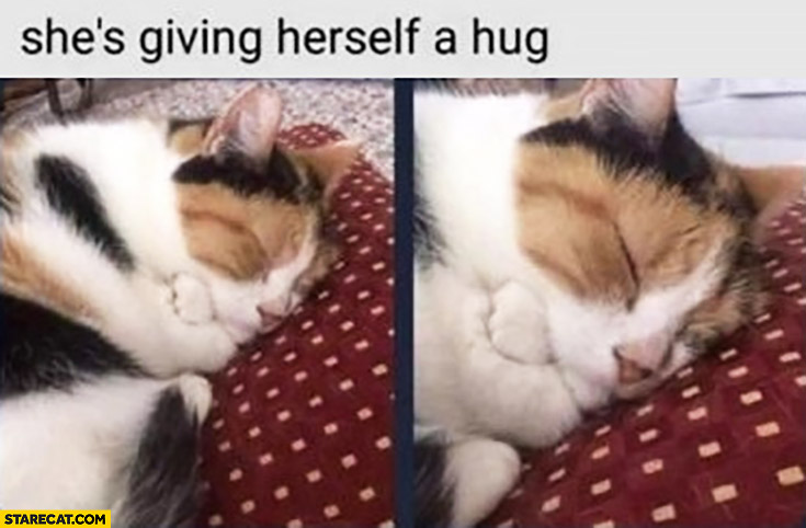 Cute cat kitty she’s giving herself a hug