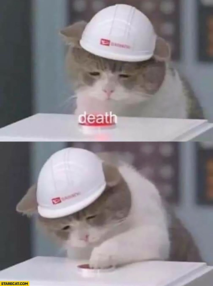 Cute cat wearing helmet pressing death button