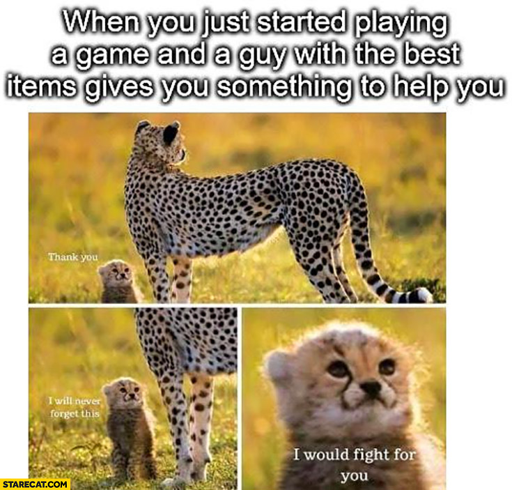 Cute small cheetah when you just started playing a game and a guy with the best items gives you something to help you