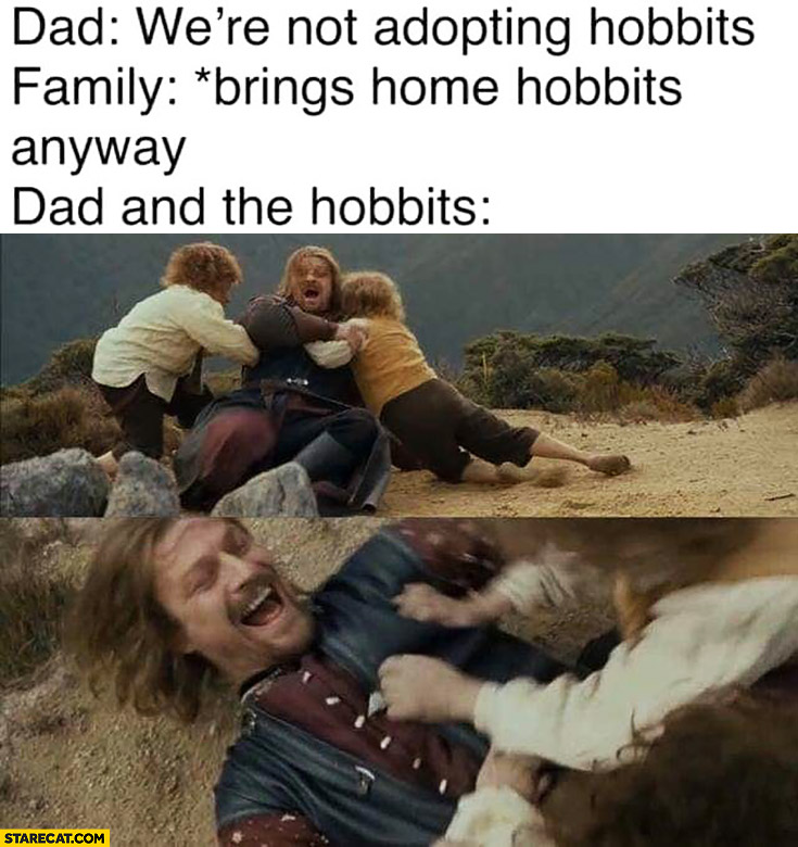 Dad: we’re not adopting hobbits, family brings home hobbits anyway, dad and the hobbits play together Lord of the Rings