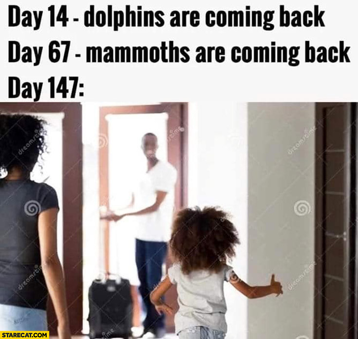 Day 14 dolphins are coming back, day 67 mammoths are coming back, day 147 black father is coming back