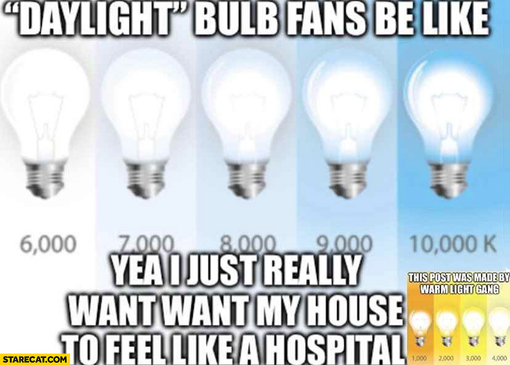 Daylight bulb fans be like: yeah I just really want my house to feel like a hospital