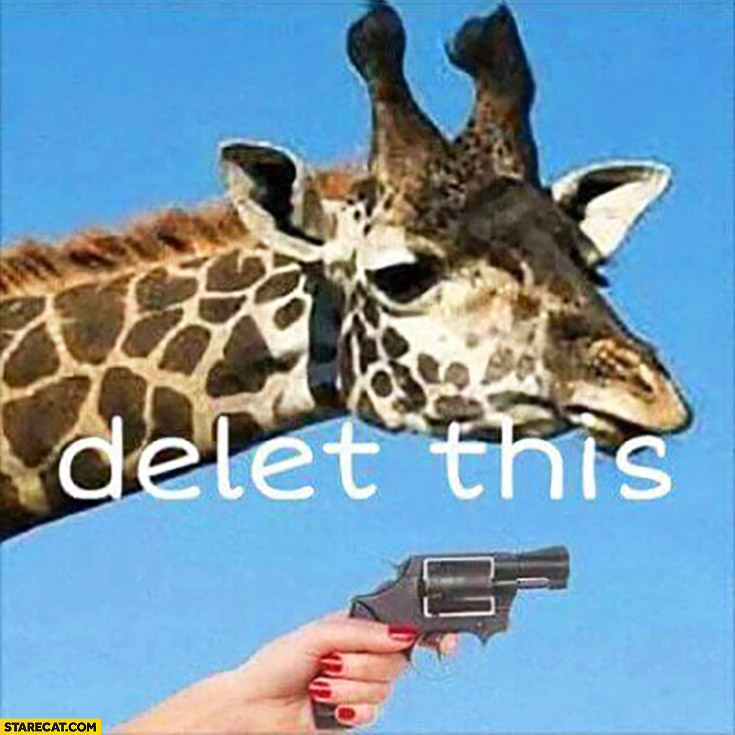 Delete this, giraffe with a gun