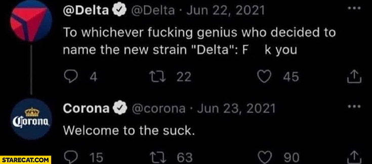 Delta airlines who decided to name the new strain delta corona beer welcome to the suck