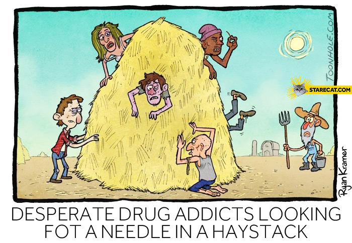 Desperate drug addicts looking for a needle in a haystack