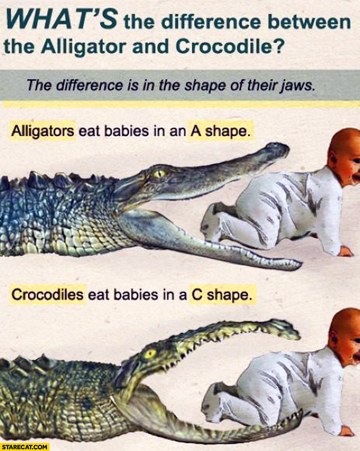 Difference Alligators eat babies in an A-shape, Crocodiles eat babies in a C-shape
