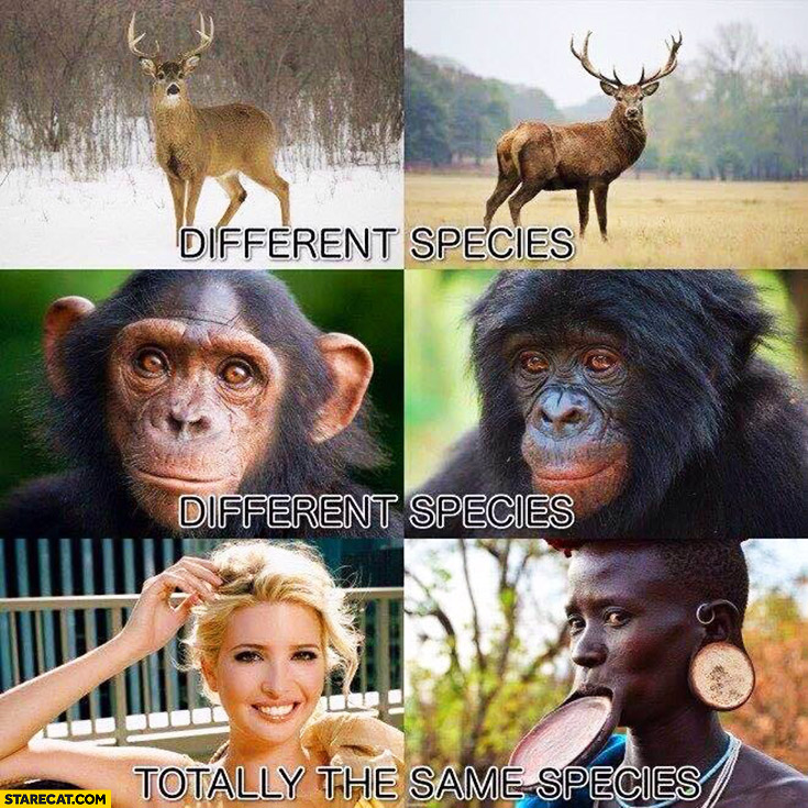 Different species animals totally the same species different humans