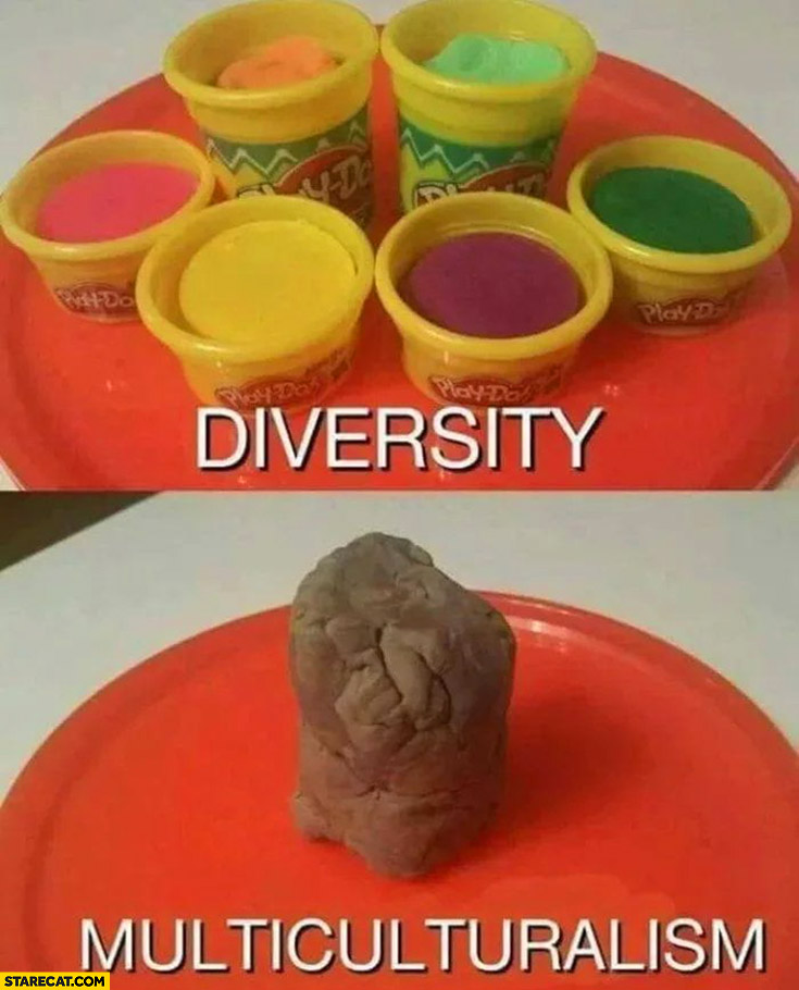 Diversity vs multiculturalism comparison play doh