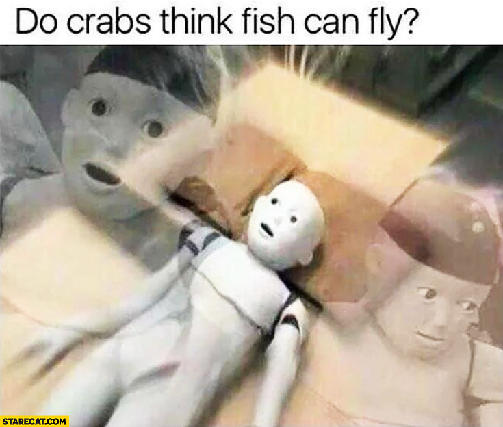 Do crabs think fish can fly? Question meme