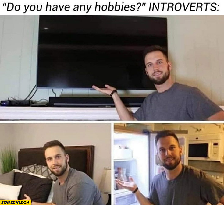 Do you have any hobbies? Introverts: tv, bed, fridge