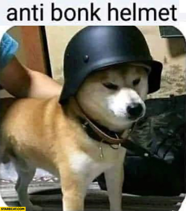 Dog anti bonk helmet doge