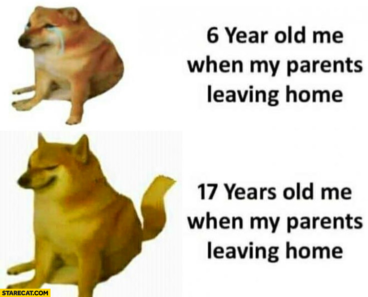Dog doge 6-year-old me when my parents are leaving home crying vs 17-years-old me when my parents leave home