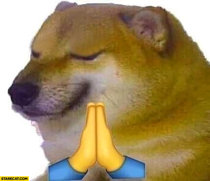 Dog doge cheems praying dorime