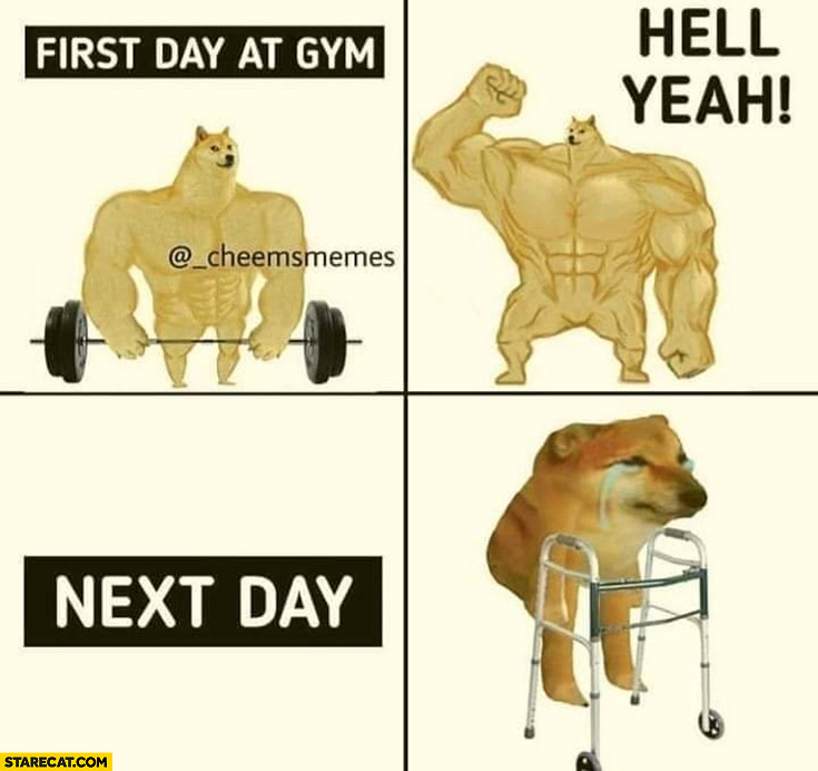 Dog doge first day at gym hell yeah next day disabled