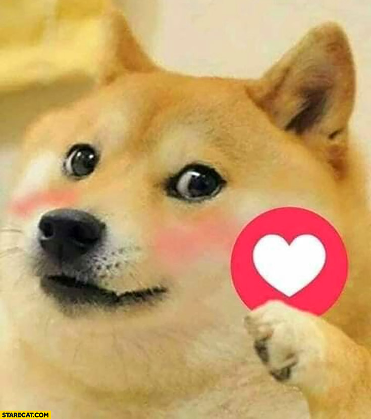 Dog doge giving you heart emoji