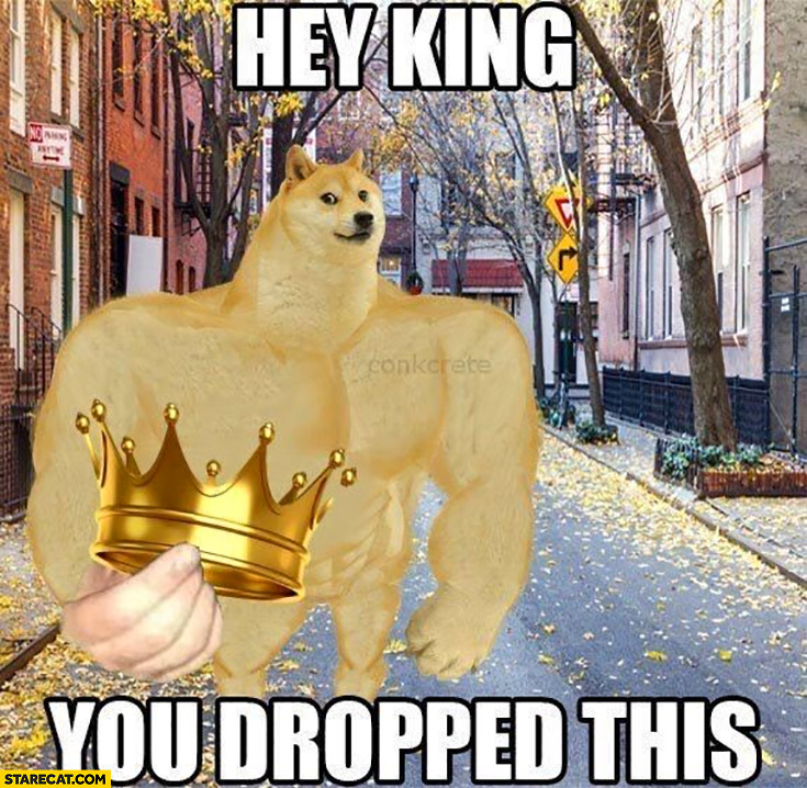 Dog doge hey king you dropped this crown