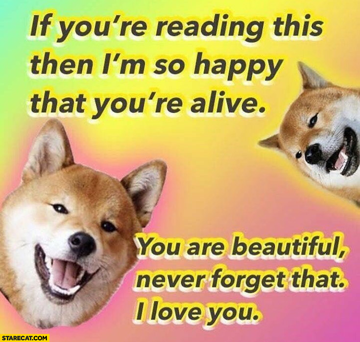 Dog doge if you’re reading this then I’m so happy that you’re alive, you are beautiful, never forget that I love you