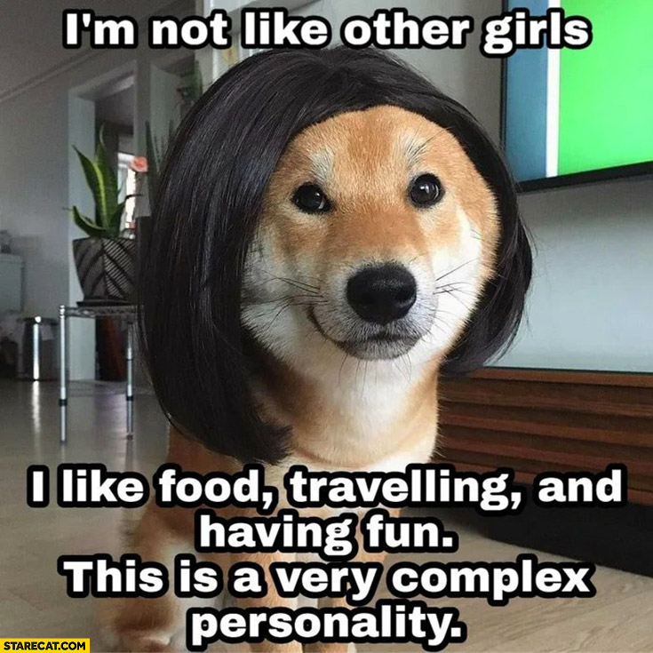 Dog doge I’m not like other girls, I like food travelling and having fun this is a very complex personality