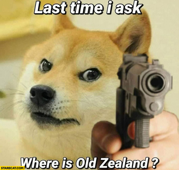 Dog doge last time I ask where is Old Zealand
