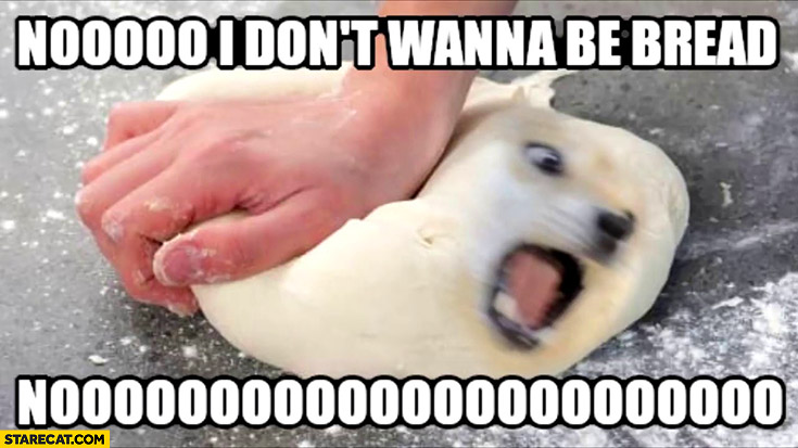 Dog doge no I don’t want to be bread