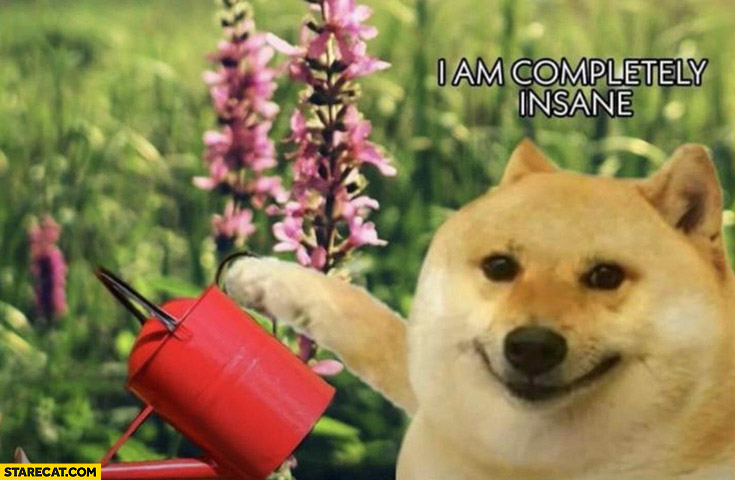 Dog doge watering flowers I am completely insane