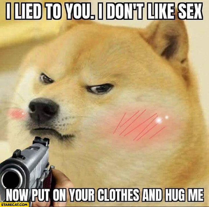Dog doge with a gun I lied to you I don’t like it now put on your clothes and hug me