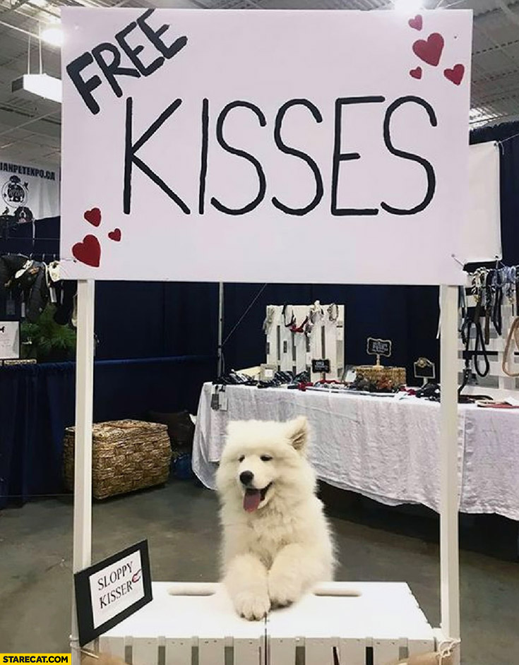 Dog free kisses stand sloppy kisser
