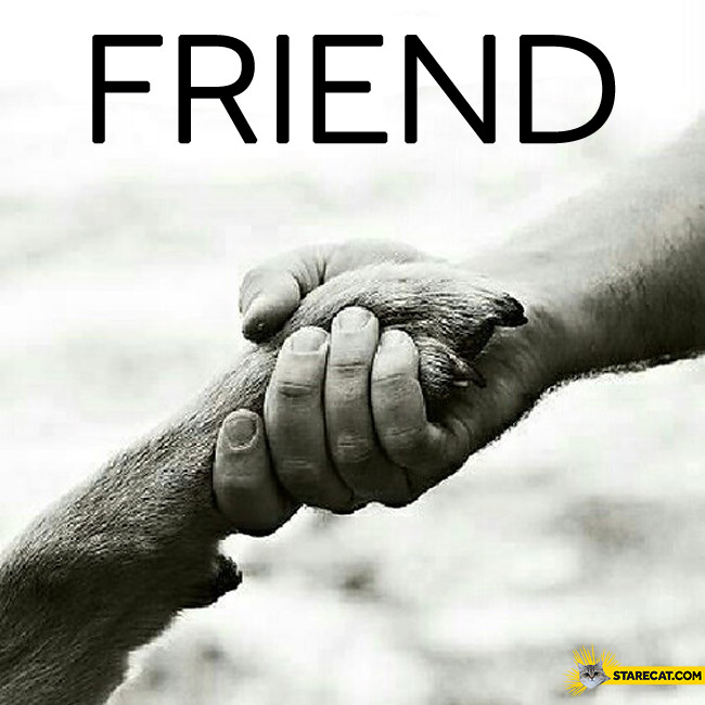 Dog friend