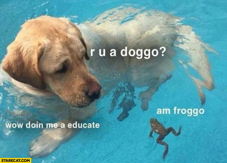 Dog frog are you a doggo? I’m a froggo, wow doing me a educate