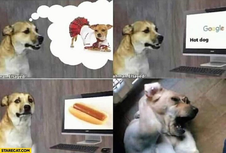 Dog googling hot dog anxious depressed