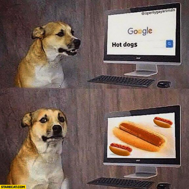 Dog googling hot dogs disappointed hot dog