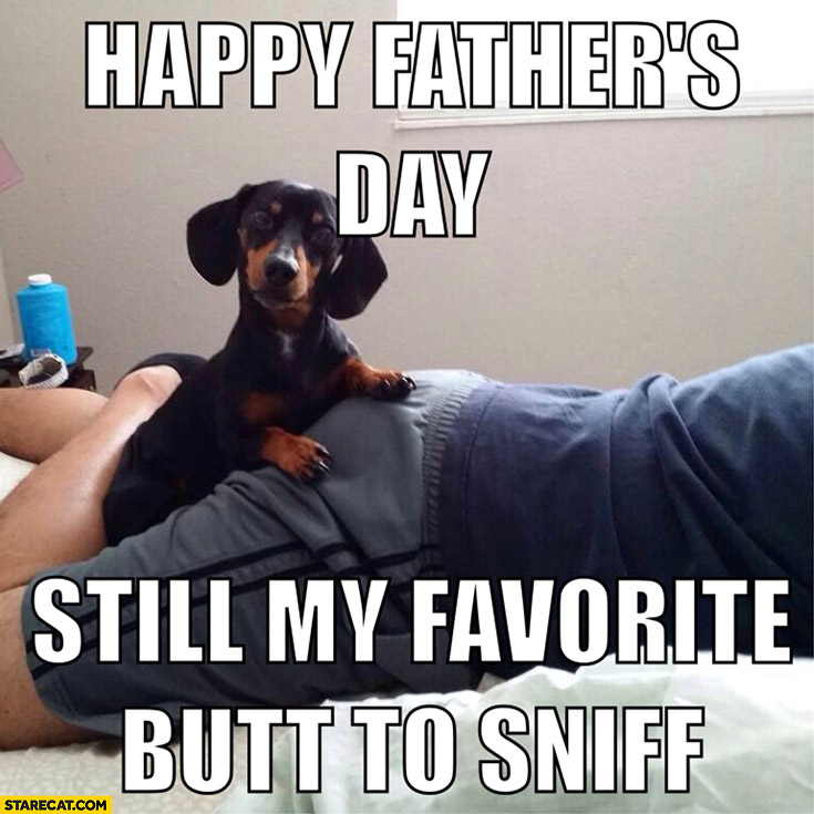 Dog happy fathers day still my favorite butt to sniff
