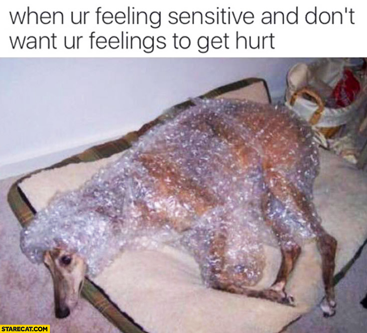 Dog in bubble wrap when your feeling sensitive and don’t want to get hurt