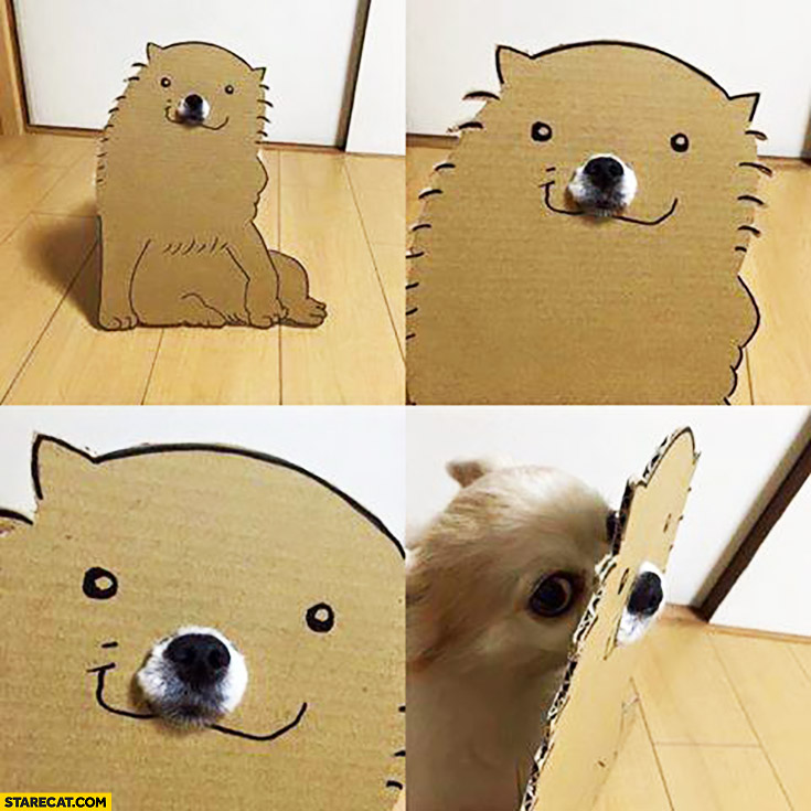 Dog in disguise pretending he’s a cat. Cardboard drawing
