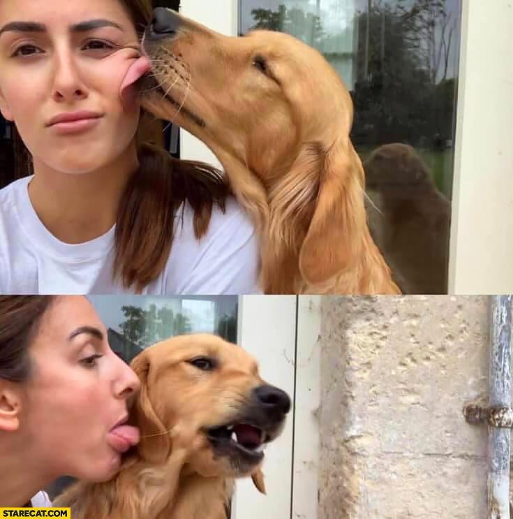 Dog licking girls womans face doesn’t like it when she is licking his face