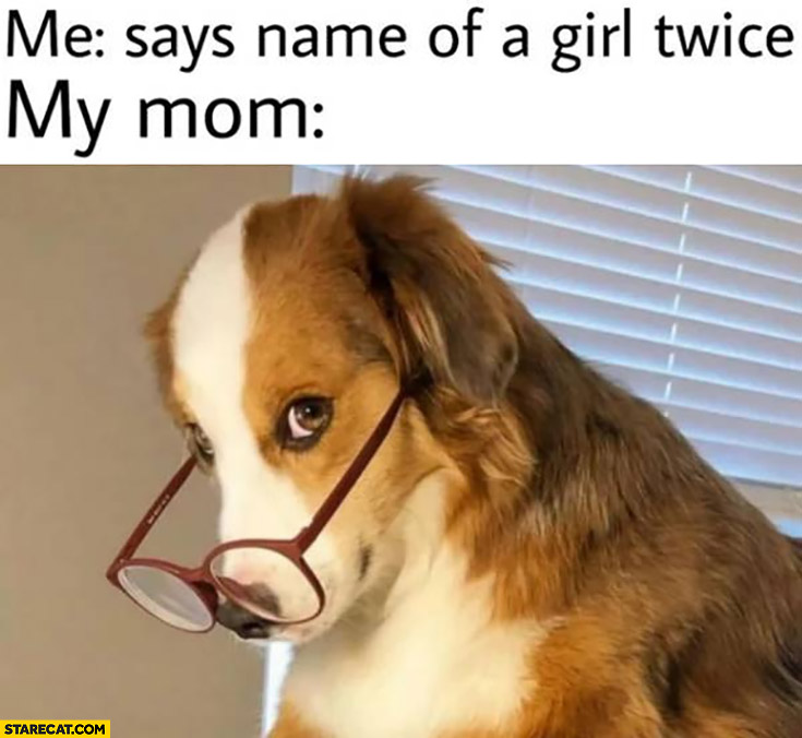 Dog, me says name of a girl twice, my mom looking interested