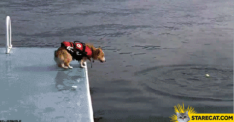 Dog rescuer GIF animation